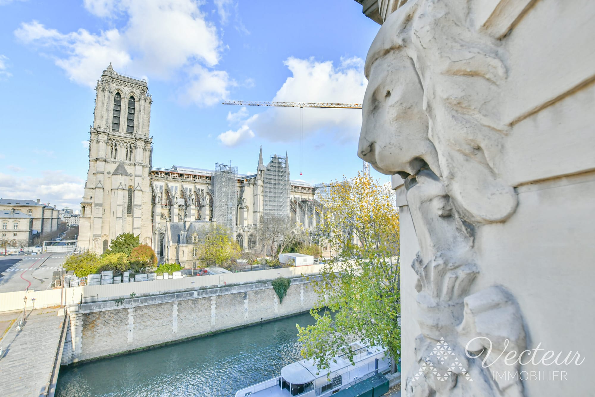 vue appartement Notre Dame pierre lion